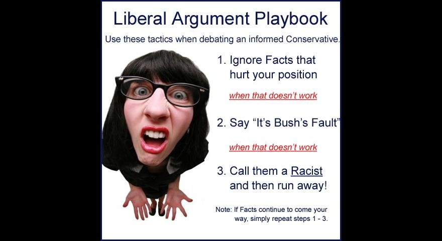 liberal-playbook.jpg