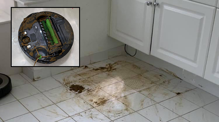 Man’s Roomba ‘Cleans’ Up His Dog’s Poop, Spreads it All ...